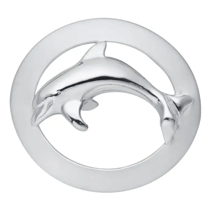 Dolphin clasp