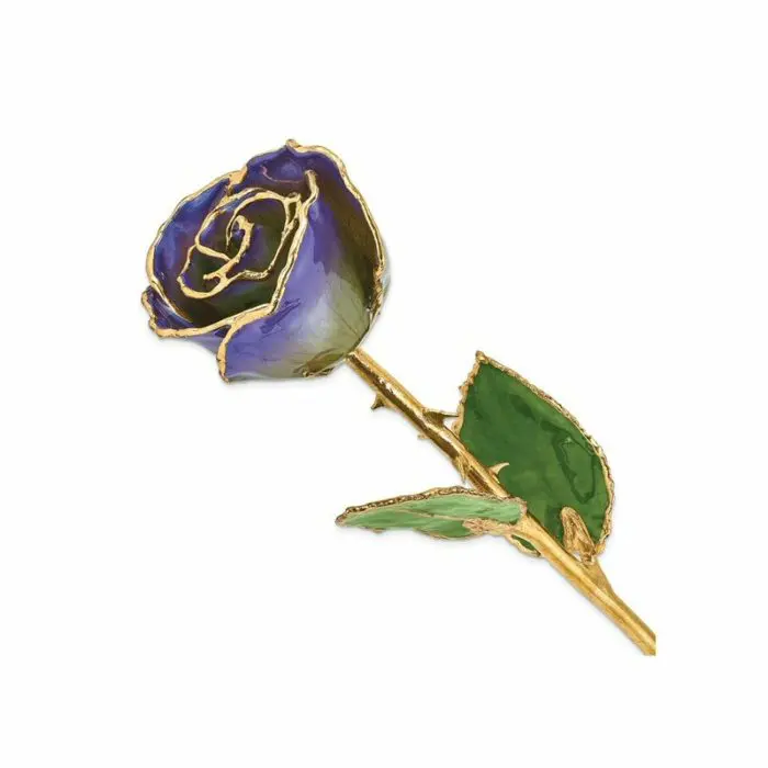 blue violet rose