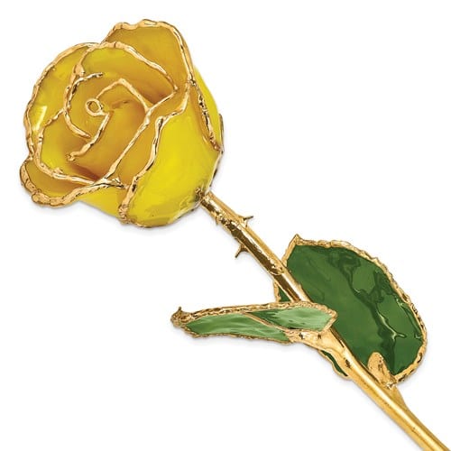 Yellow gold plated rose