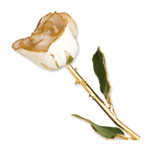 white rose