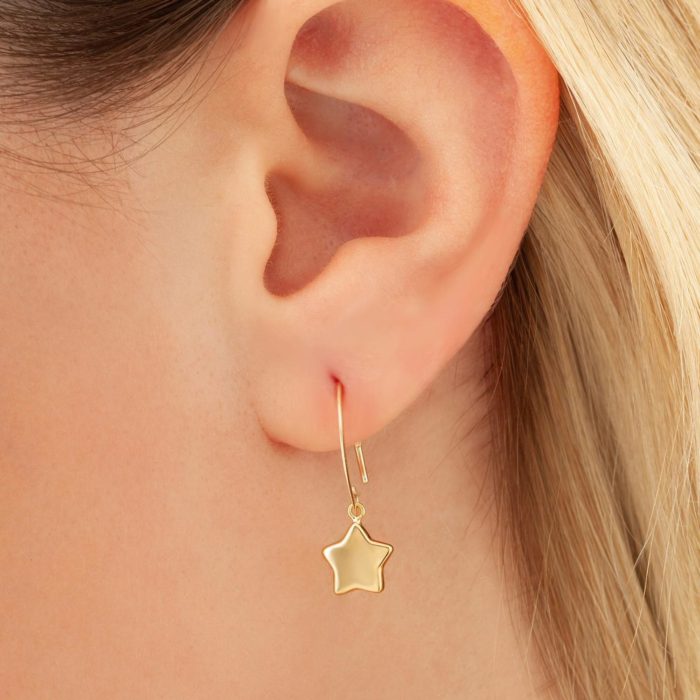 Dangle (Star) Earrings model image