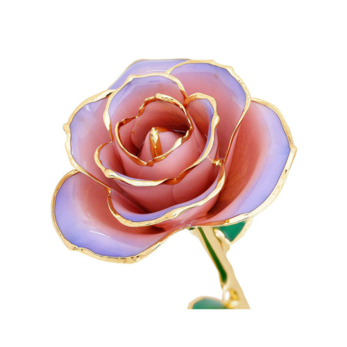 Lilac (Blushed) Rose