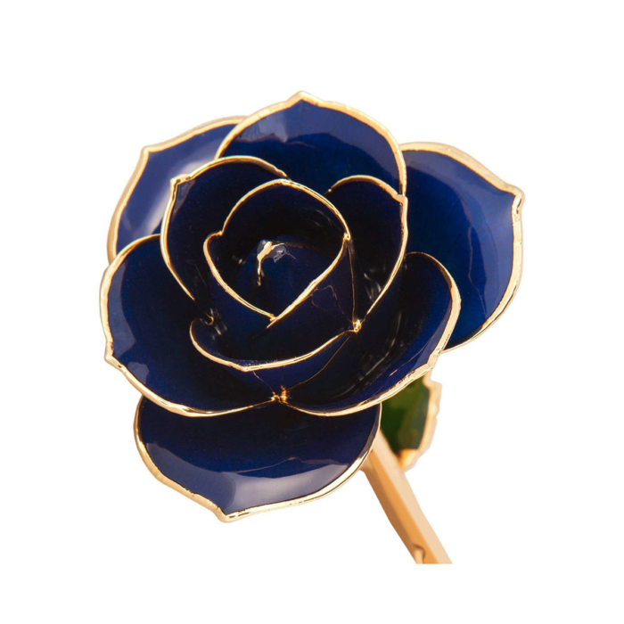 Blue (Midnight) Rose