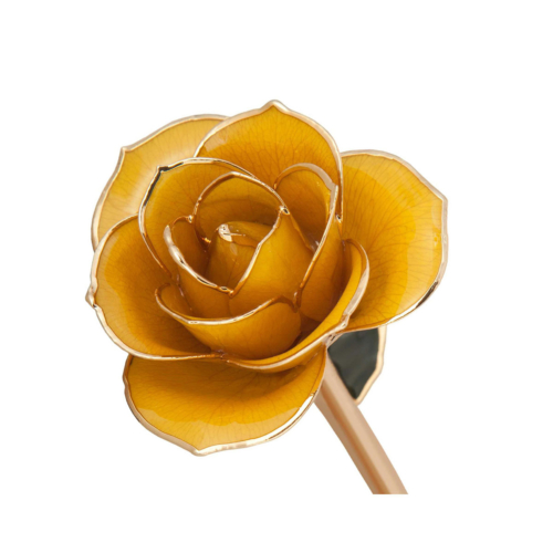 Yellow (Sunshine) Rose