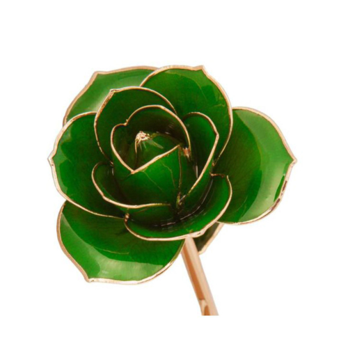 Green (Lucky) Rose