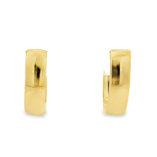 Hoop (4.2mm Oval) Earrings