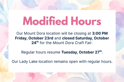 Mount Dora Craft Fair 2022